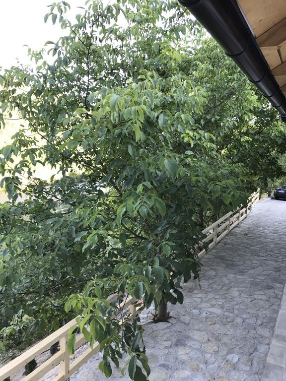 6 New River View Apartments Bihać Exterior foto